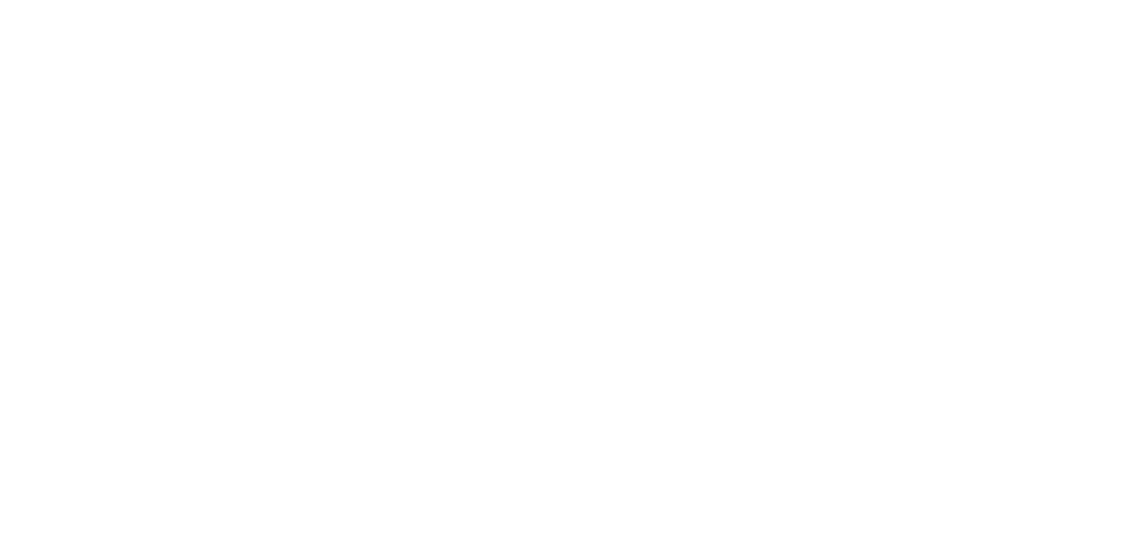 Africa Business Insight