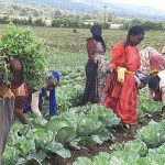 East African produce