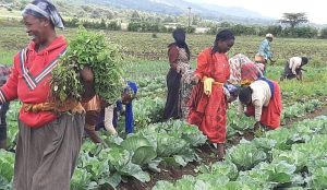 East African produce