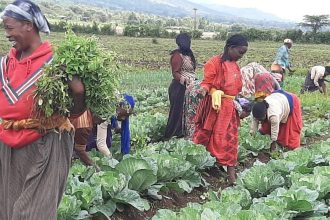 East African produce