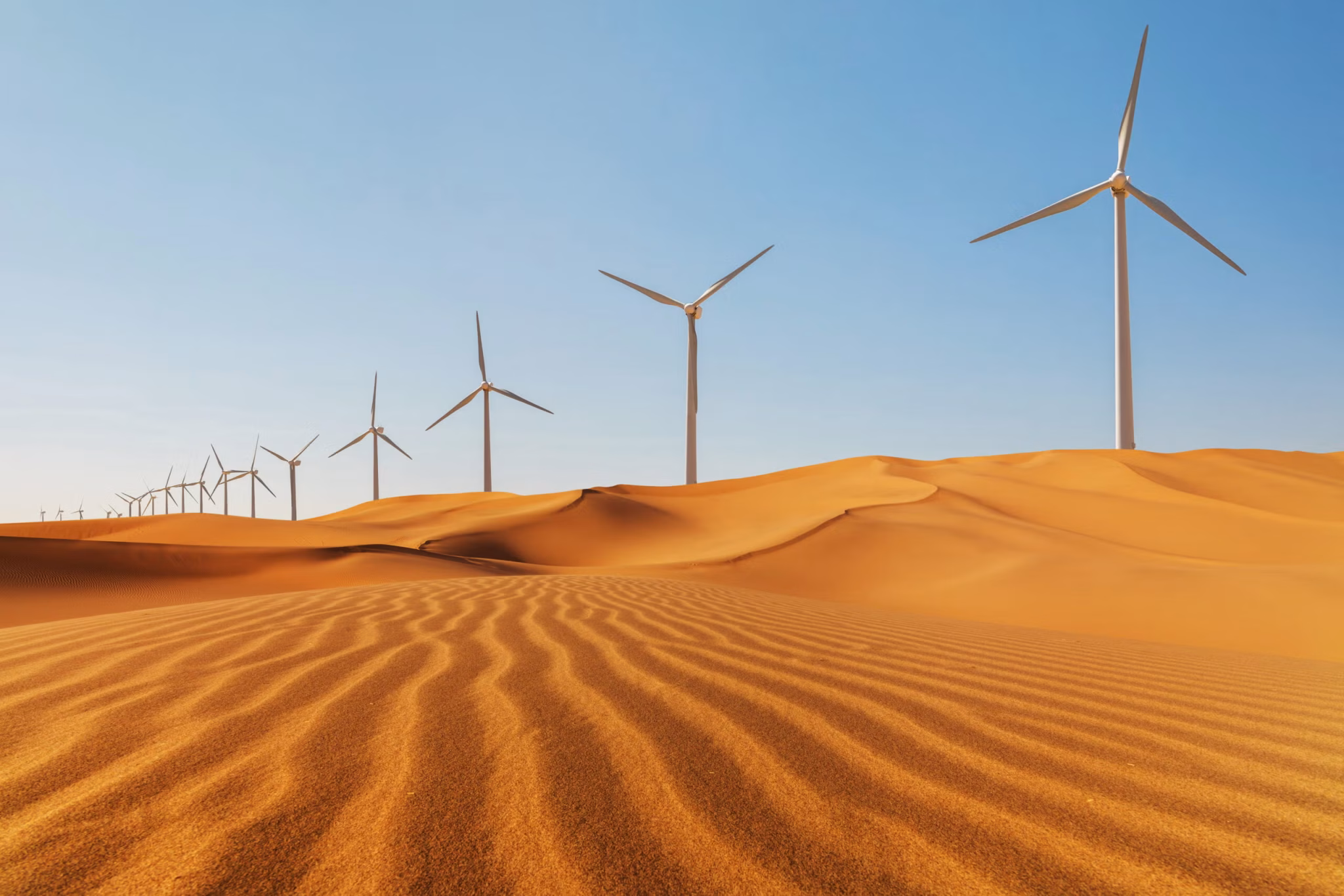 Egypt wind farm