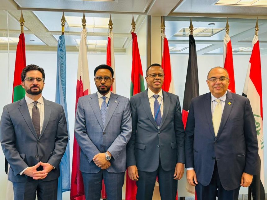 IMF approves credit facility for Somalia