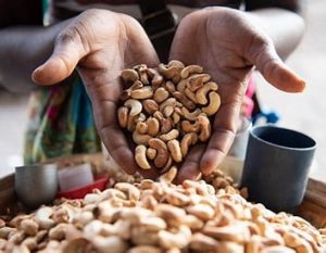 Mozambique Cashew